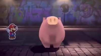 Don&rsquo;t search the scientific term for pig just don&rsquo;t!!