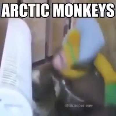 Arctic Monkeys