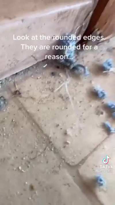 I swear I learn more on tiktok than irl