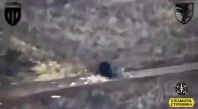 Claimed to be russian mil blogger "Dimka", is hit by fpv drone while streaming/on the phone.
