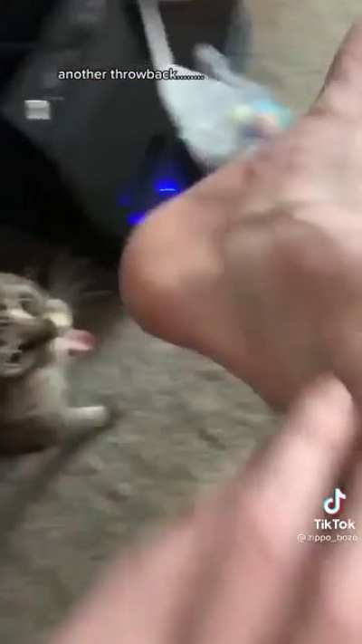 Kitty with the catch of the day