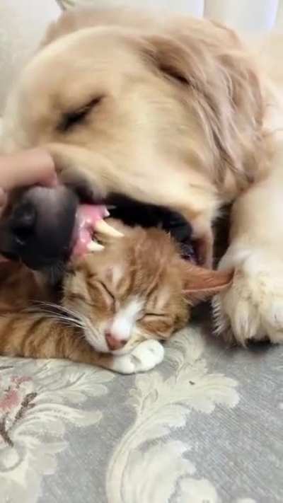 Best friends