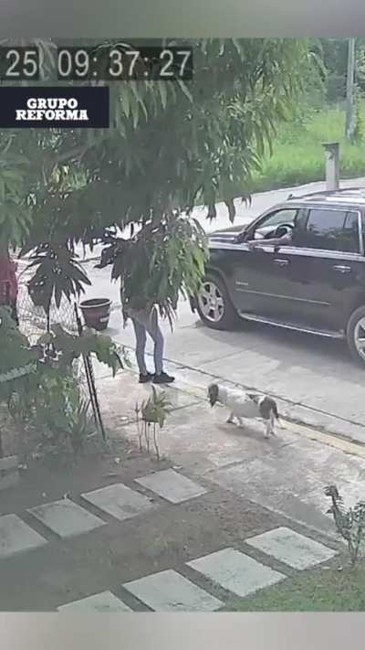 Los chairos han de decir y esto porque lo exhibes si no es de la 4T, era dirigente del desaparecido PRD en Veracruz, pero si es culpa de la 4T que est&aacute;s actitudes mamonas prepotentes de pol&iacute;ticos ya hab&iacute;a bajado y se hizo fuerte cuando entraron los nacos 