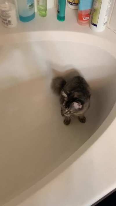 Get that floof!