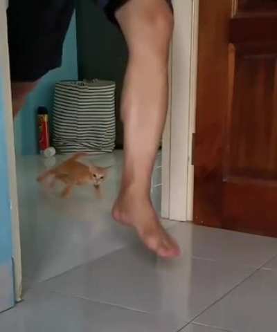 I'll catch you