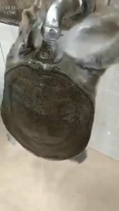 Drink water