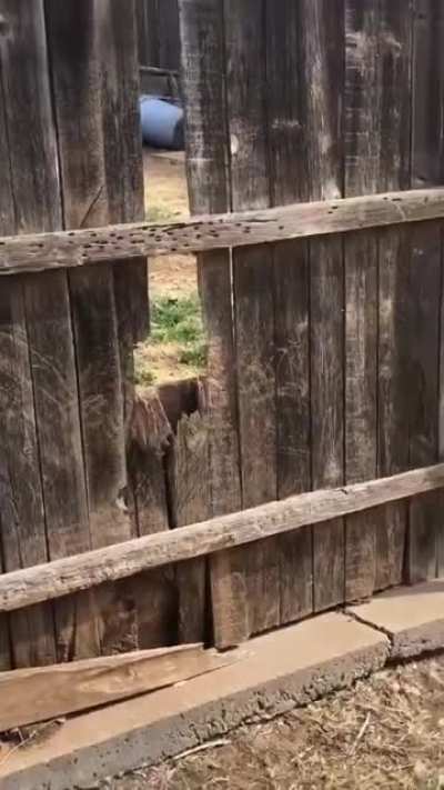 Abrupt Distruction