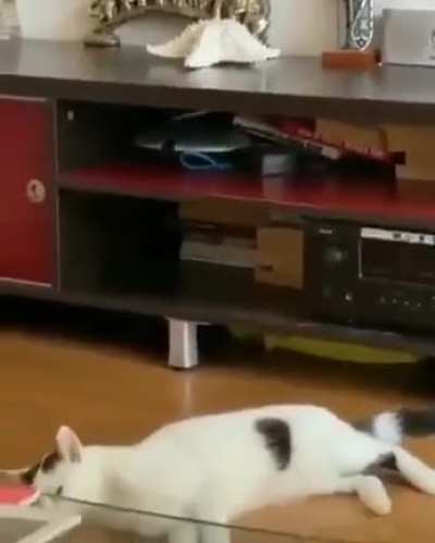 Oof