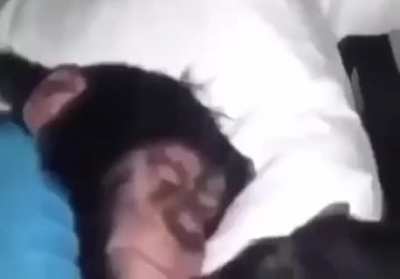 It's time for school, wake up.