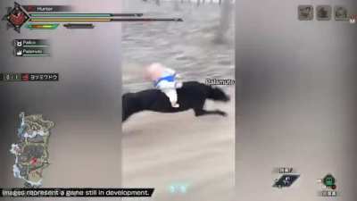 Monster Hunter Palamute