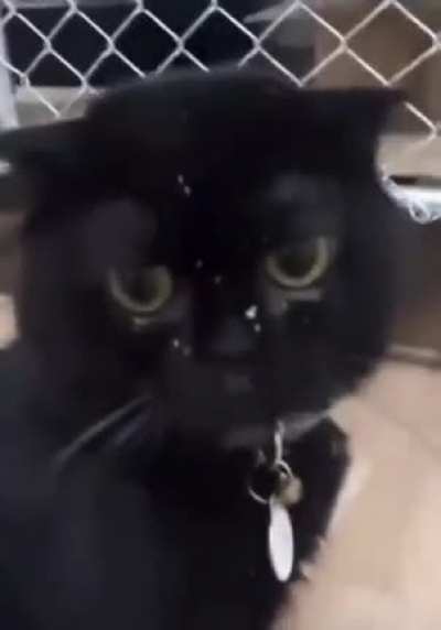 Are you seeing this?