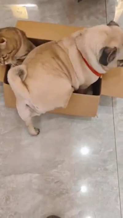 "Theres no room...Dammit."