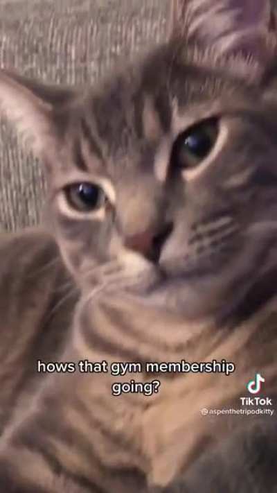 Humans be like