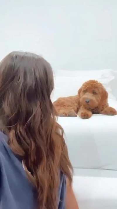 With dog (IG story)