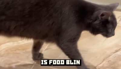 Food fit for a slavic cat