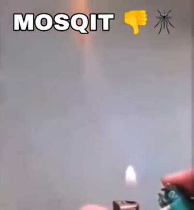 MOSQUIT&eth;