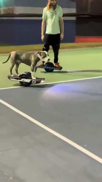 smart pup