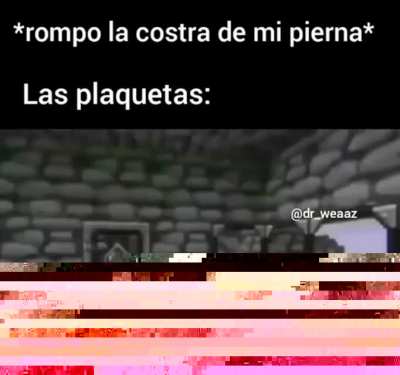 Pobre costra llamada willyrex 😔