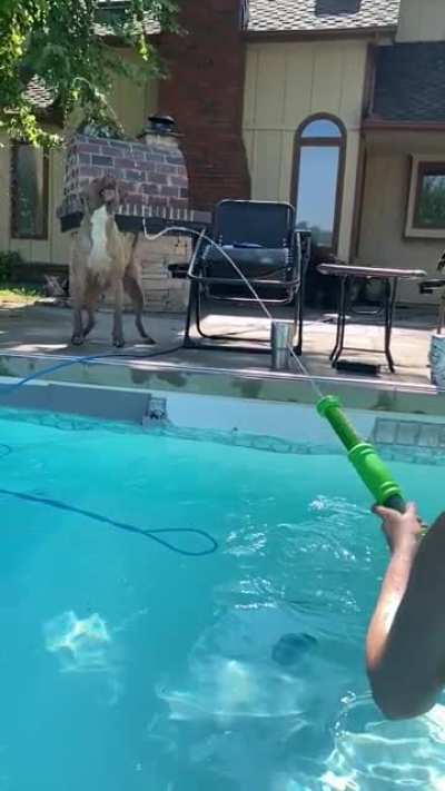 He refuses to go swimming but pull out the super soaker&hellip;