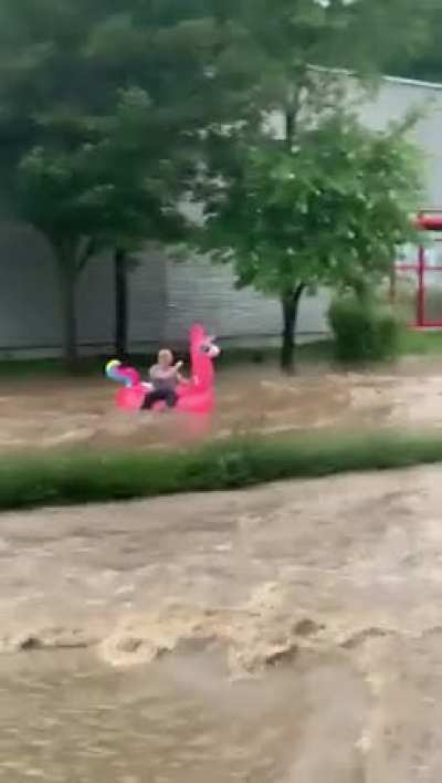 My friend in germany sent me this video of her neighbor