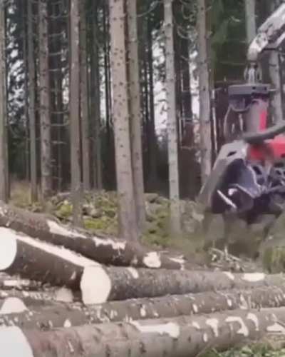 Tree-hugger Reapers