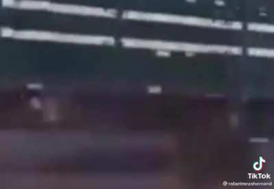 Xd