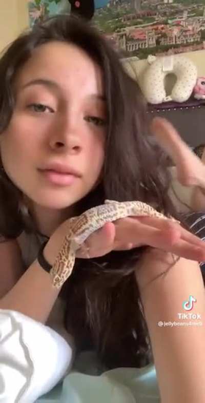 Soles and Lizard @jellybeans4me9