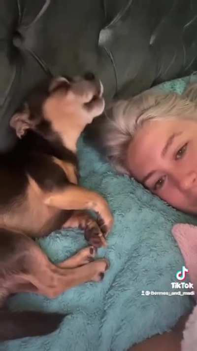 Adorable overload