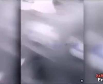 ._.XD