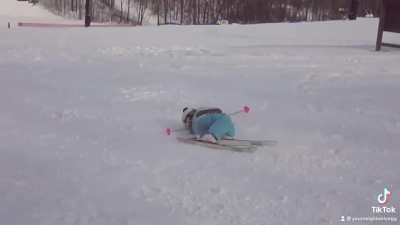 Me trying the smallest ski jump ever( I ended up bruising my tail bone)