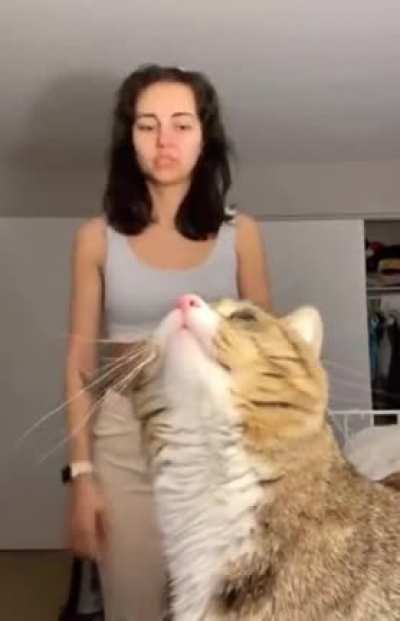 Cat blogger