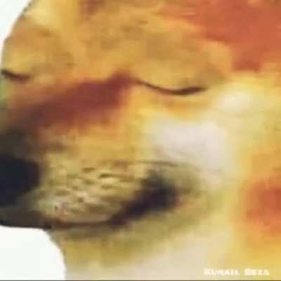 NOOOOOOOOOOOO