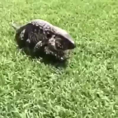 Please turn on audio