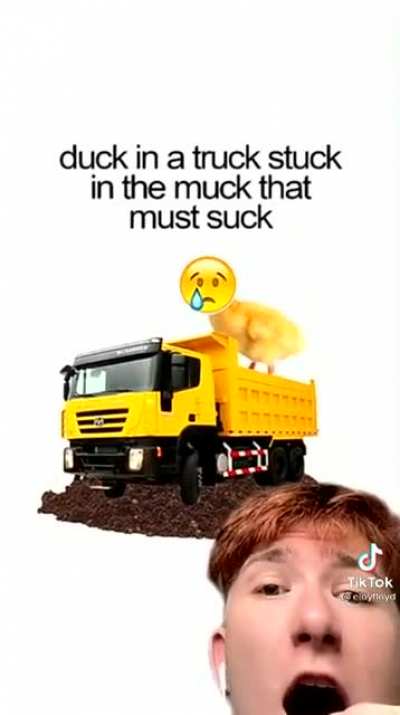 DUCK