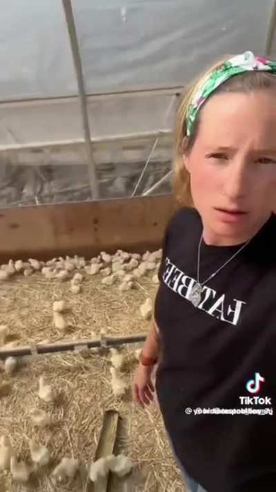Who&rsquo;s chicken now?