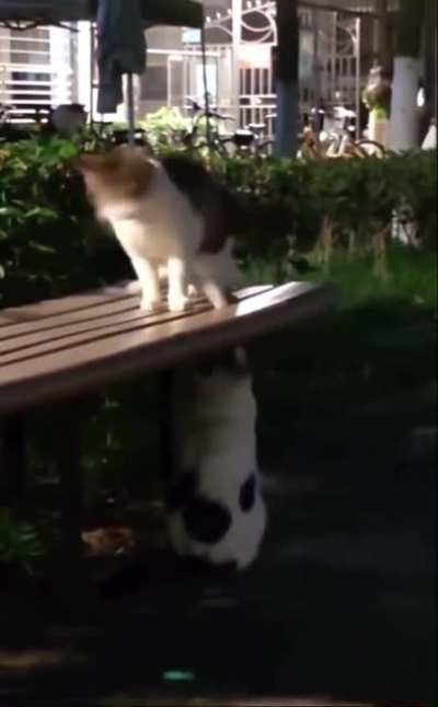Test Tickle