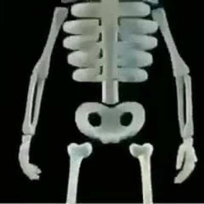 guisos del cuerpo