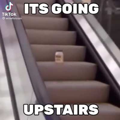 mayonnaise on a escalator