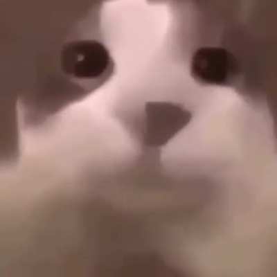 Cet