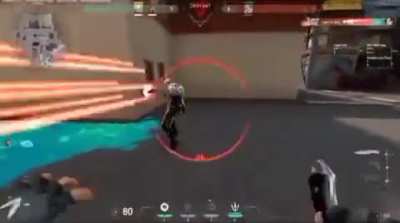 Iron lobies IRL