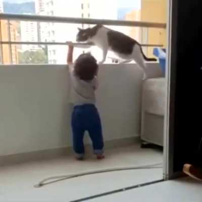 Cat protecting child from the ledge