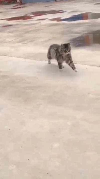 You'll never be as cool as I am