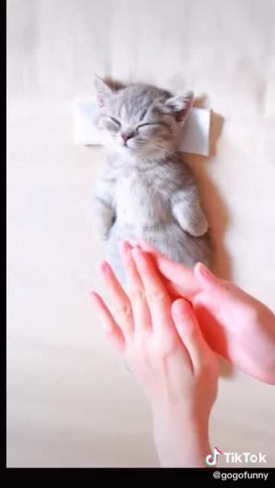 Aaaaa