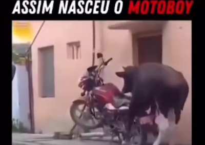 Isso explica tudo