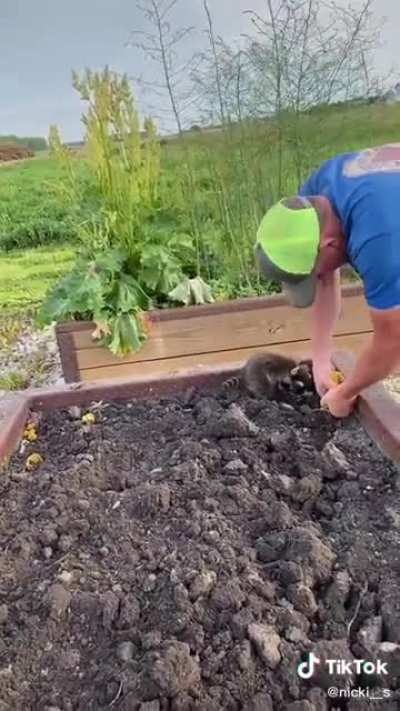Little helper
