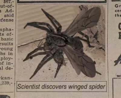 Danger amogus
