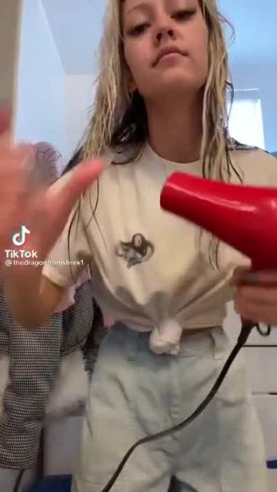 Trying to use the hair dryer