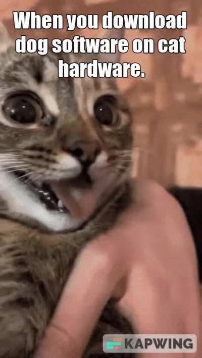 The Real Cat Dog