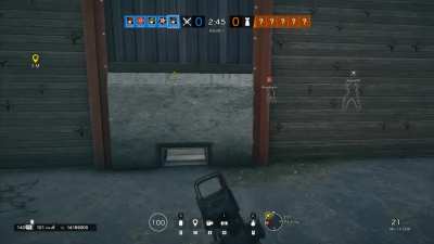 b i g b r a i n