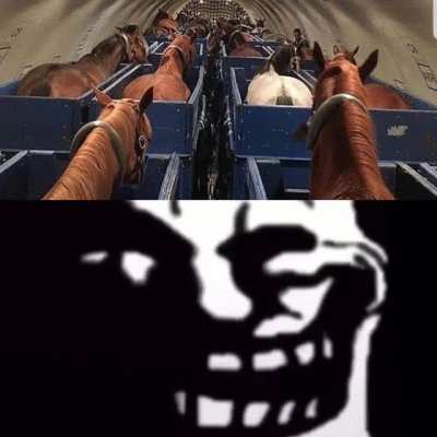 horsefukcgaming